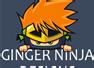 Ginger Ninja Designs Rotherham
